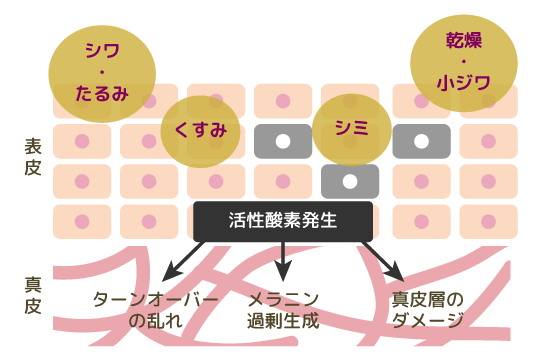 活性酸素がお肌に与える影響